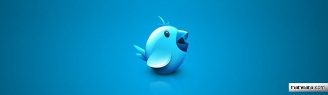 Twitter Icons and Buttons Collection For Your Next Design
