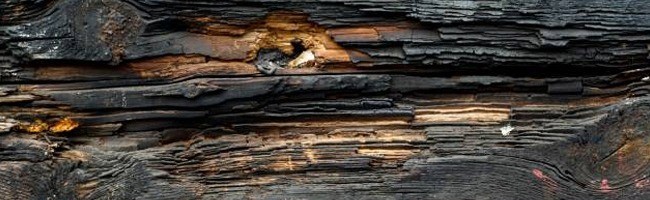 200+ Free High Quality Grungy Dirty Wood Textures 200+ Free High Quality Grungy Dirty Wood Textures