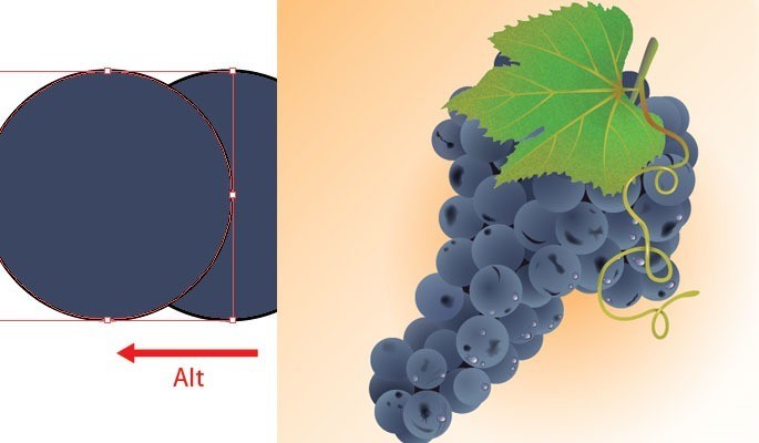 Realistic Grapes - Collection of useful illustrator tutorials