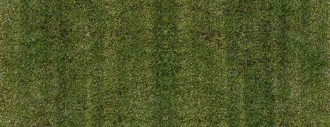 Grass background - Free High Resolution Grass and Leaf Textures