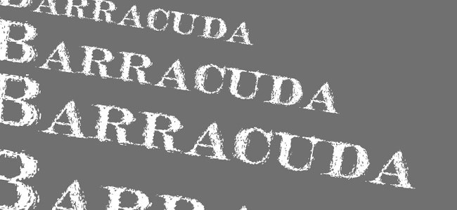 Barracuda - Download Free Dirty Fonts