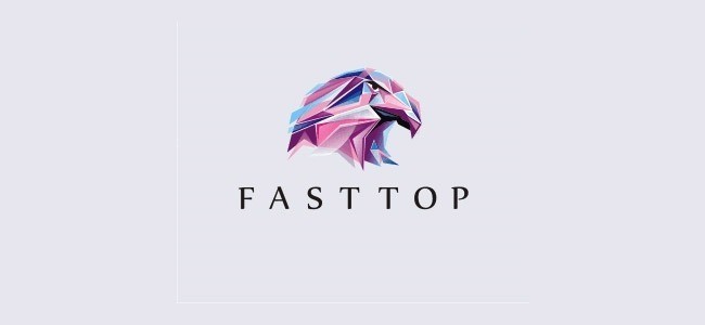 FAST TOP - Inspiration logo designs #2