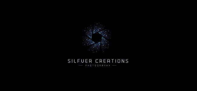 Silfver Creations - Inspiration logo designs #2