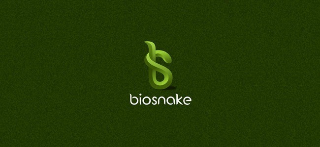 biosnake - Inspiration logo designs #2