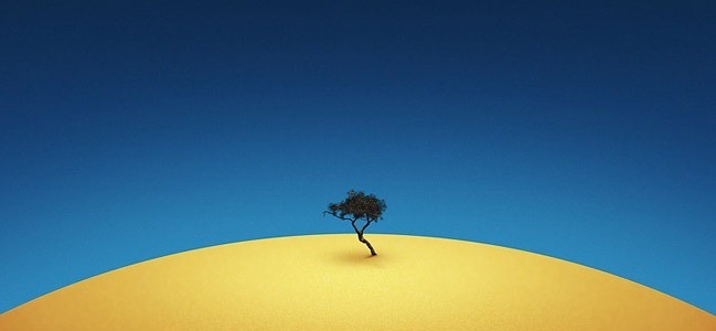Tenere Tree - Amazing high resolution wallpapers #2