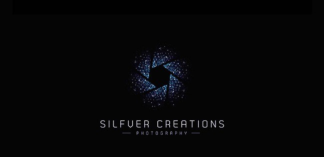 Silfver Creations - Inspiration logo designs #4