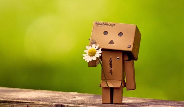 Danbo - Cute Danbo - The Japanese Robot Pictures