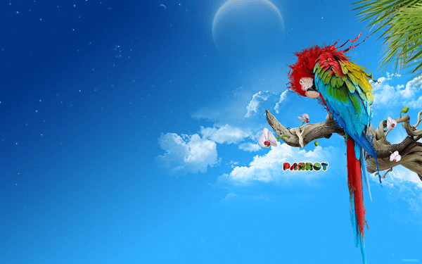 The Parrot by termapix - Amazing high resolution wallpapers #3