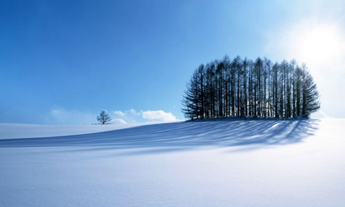 summar wallpapers designingmall winter - Get Cool Wallpapers in Summer for Your Desktop