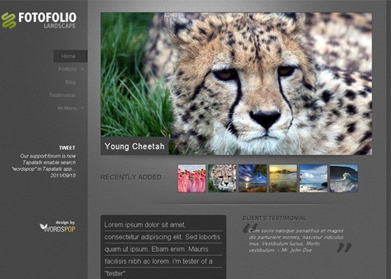 Fotofolio Landscape - 25+ Beautiful Free WordPress Themes