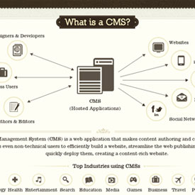 cms infographic - Infographic: Choosing the Right CMS For Your Project