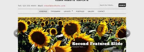 html5 css templates4 550x198 - 10 Amazing HTML5 and CSS3 Templates