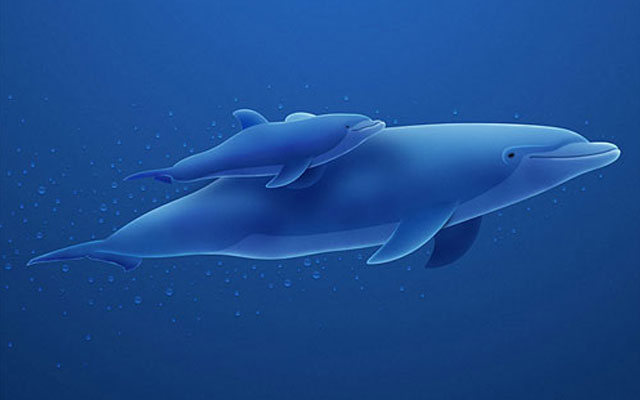 Making of Dolphins - 25+ Ultimate Photoshop Tutorials