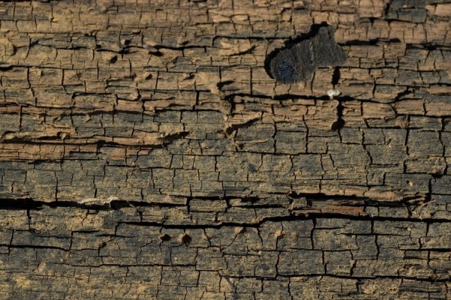 Cracked Wood 1 by objekt stock e1359554411795 - 200+ Free High Quality Grunge Wood Texture