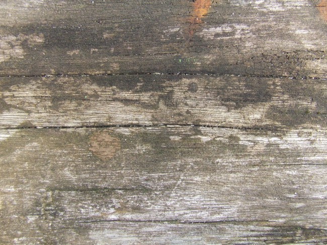 Old Wood by dazzle textures e1359620522795 - 200+ Free High Quality Grunge Wood Texture