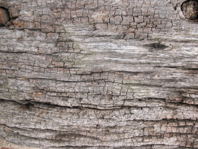 Old Wood texture 3 by Tigg stock e1359554299262 - 200+ Free High Quality Grunge Wood Texture