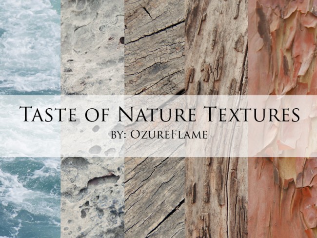 Taste of Nature Textures by OzureFlame e1359619920469 - 200+ Free High Quality Grunge Wood Texture