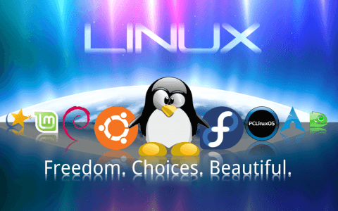 Why Students should use Linux Operating System 480x300 - 2013: A Year that Might Be Engraved In the History of Linux