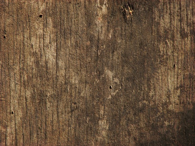 Wood 3 by CharadeTextures e1359620010415 - 200+ Free High Quality Grunge Wood Texture