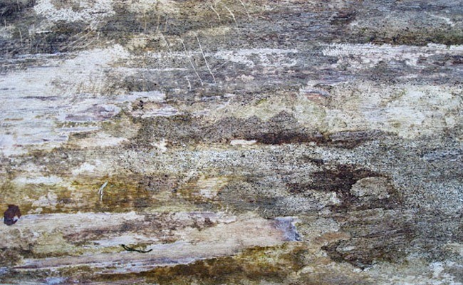 dirty wood 5 - 200+ Free High Quality Grunge Wood Texture