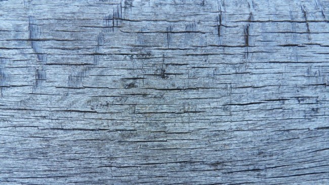 wood texture 14 by carlbert d4tzgz5 e1359620226701 - 200+ Free High Quality Grunge Wood Texture