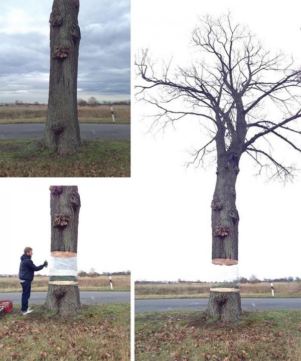 Tree Illusion by Daniel Siering 1 600x720 - Illusion Painting by Daniel Siering and Mario Shu