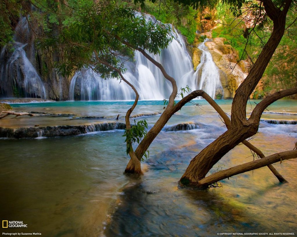 Bestwallpapers2009fromNationalGeographic 18 1024x819 - Free High Quality Nature Wallpapers