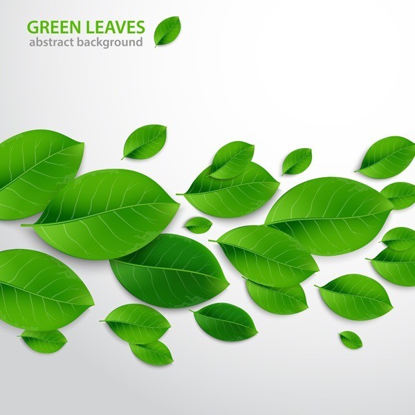 Realistic Vector Leaves - How to Create Realistic Vector Leaves in Illustrator
