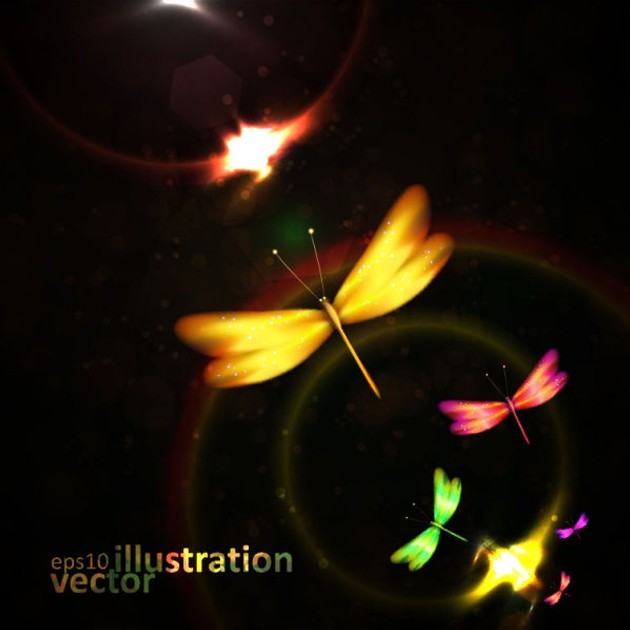 illustration l - Colorful dragonfly Vector