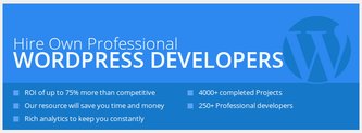 rsz wordpress - Top Business Lead Generation Themes for WordPress