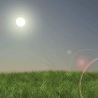 Grass200 - Realistic Grass and Sky Environment in 3ds Max